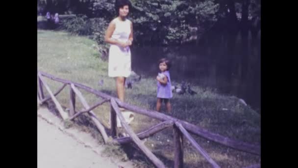 Frascati Talya Haziran 1974 Yıllarda Gölet Hayvanlarıyla Etkileşim Halinde Olan — Stok video