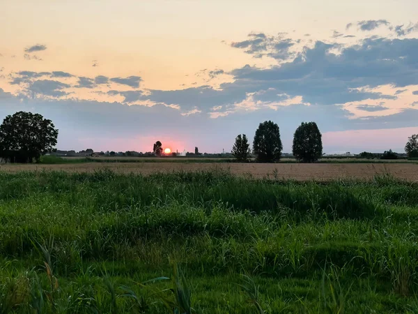 遠くに丘陵地帯 ブドウ畑 1人の農家があり 日没時に北イタリアの田舎の素晴らしいパノラマ 観光マーケティング資料に最適 — ストック写真