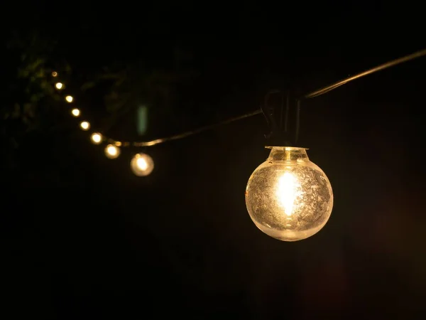 String of decorative light bulbs illuminating a garden party, creating a festive atmosphere.