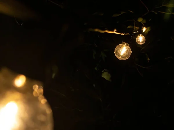 庭のパーティーを照らす装飾電球の文字列は お祝いの雰囲気を作り出します ストック写真