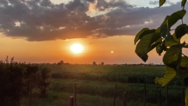 迷人的橙色落日给宁静的乡村风景投上了温暖的光芒 — 图库视频影像