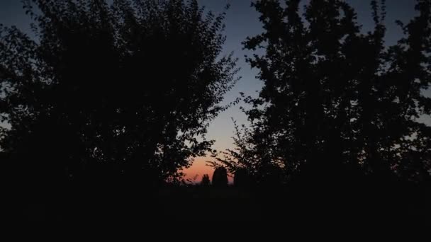 Вражаючий Силует Листяних Дерев Встановлений Яке Світло Сутінків — стокове відео
