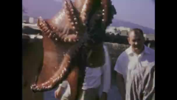 Тенеріфе Іспанія Січень 1969 Історичні Кадри Показують Туристів Рибалити Восьминогих — стокове відео