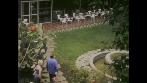 1969年1月 西班牙 特内里费 1960年代特内里费明亮多彩的花朵的近照 — 图库视频影像