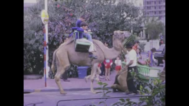 テネリフェ スペイン 1969年1月 1960年代にテネリフェでラクダに乗って楽しむ観光客の歴史的な映像 — ストック動画