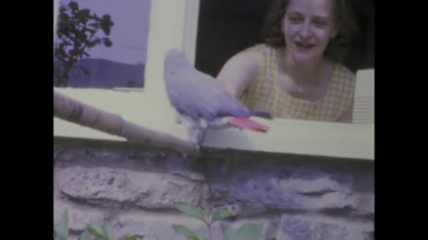 ロンドン イギリス 1966年かもしれない 1960年代に女性と彼女のオウムのこの懐かしい映像と時間を遡る — ストック動画