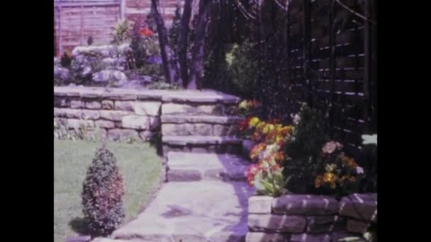 英国伦敦可能是1966年 走进过去 探索一个充满五彩缤纷花朵的迷人花园 在这个20世纪60年代的古老画面中 — 图库视频影像