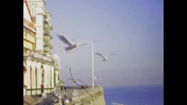 Λονδίνο Ηνωμένο Βασίλειο Ιανουάριος 1966 Απολαύστε Γαλήνια Θέα Των Γλάρων — Αρχείο Βίντεο
