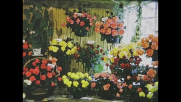 Belvoir Wielka Brytania Może 1966 Poznaj Pięknie Wykonane Vintage Kompozycji — Wideo stockowe