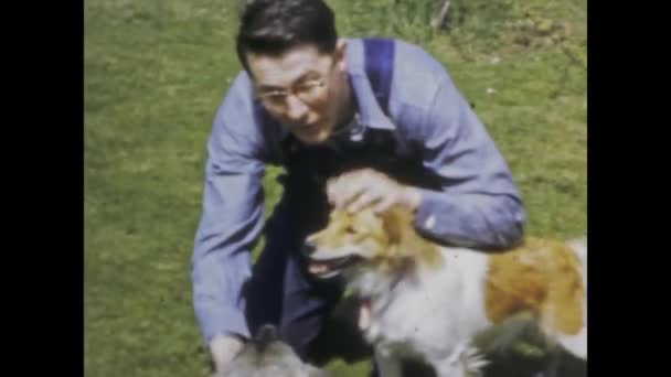 オースティン 1949年 アメリカの庭で忠実な犬を飼っている農民の歴史的な映像 素朴なノスタルジアを呼び起こす — ストック動画