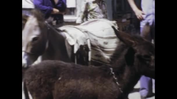 Istanbul Turkiye Květen 1975 Záběry Tradičních Tureckých Jednotlivců Jezdících Oslech — Stock video