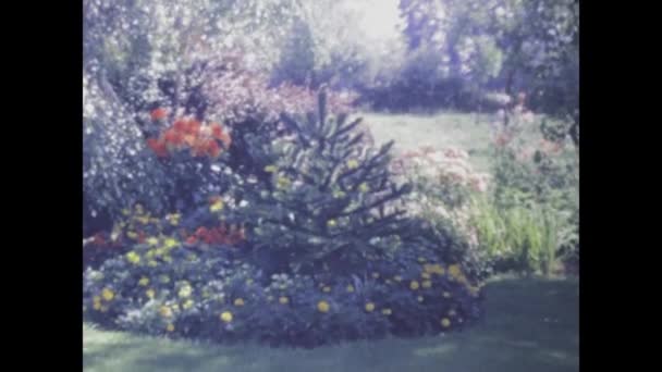 Paris França Junho 1965 Filmagem Vintage Belo Jardim Primavera Plena — Vídeo de Stock