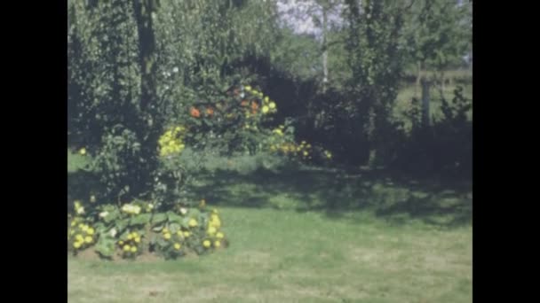 París Francia Junio 1965 Imágenes Vintage Jardín Primaveral Bellamente Cuidado — Vídeos de Stock