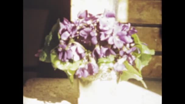 1969年かもしれない 1960年代の装飾的な花をフィーチャーしたヴィンテージ映像 — ストック動画