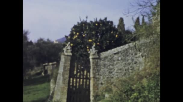 1969年かもしれない 1960年代の田舎の家を愛する装飾的な花を展示するヴィンテージ映像 — ストック動画