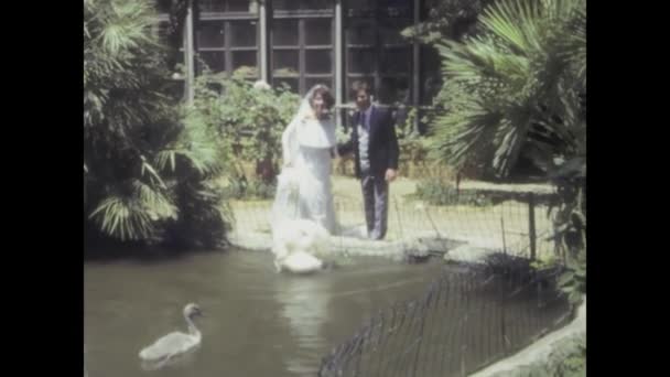 イタリアのパレルモ 1984年7月 新婚夫婦の柔らかくロマンチックな肖像画を捉えた1980年代のヴィンテージ映像 — ストック動画
