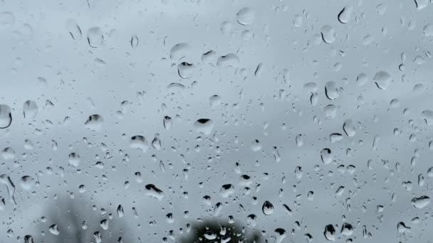 Penceredeki Yağmur Damlalarının Yakın Çekim Dokusu — Stok video