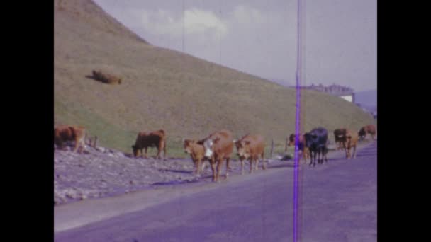 Prowansja Francja Czerwiec 1960 Historyczne Nagrania Przedstawiające Malowniczy Panoramiczny Widok — Wideo stockowe