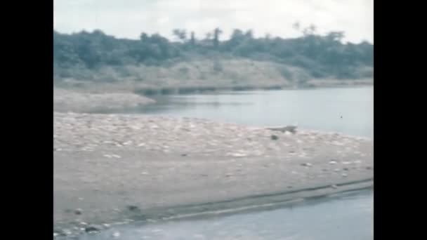 1960年6月のパナマシティ 1960年代のカリブ海のビーチの原始的な美しさを捉えた歴史的な映像 — ストック動画