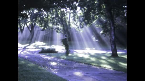 Феникс Сша Июнь 1975 Замедленная Съемка Светофильтрации Сквозь Деревья Выделяющая — стоковое видео