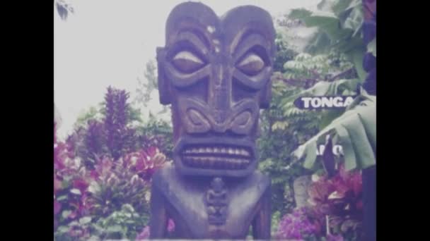 1970年代のワイミア ハワイ ジューン 1970年代 ハワイのティキ像の神秘を捉え 島の精神と歴史を体現した映像 — ストック動画
