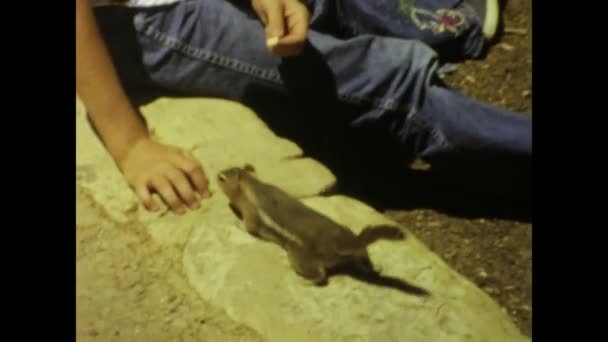 1975년 브라이스 국립공원의 속에서 다람쥐의 빈티지 70년대 — 비디오
