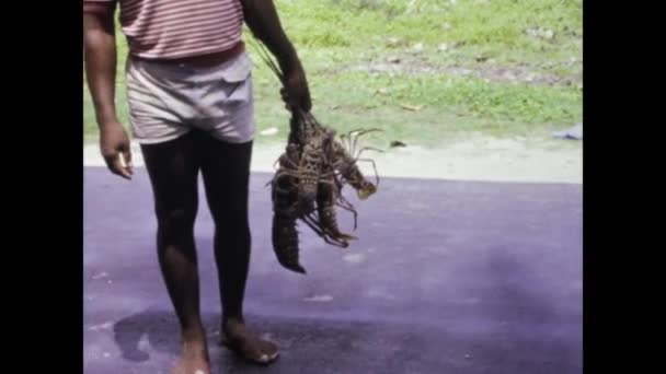 Fort France Martinica Juni 1975 Vintage Tals Film Karibisk Fiskare — Stockvideo