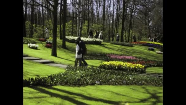 Imágenes Vintage Peatones Paseando Tranquilamente Floreciente Jardín Holandés Durante Primavera — Vídeos de Stock