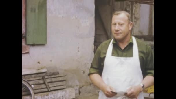 1975年6月 ドイツのチタン湖 1970年代のドイツの農民の日常生活を撮影したドキュメンタリー映像 — ストック動画