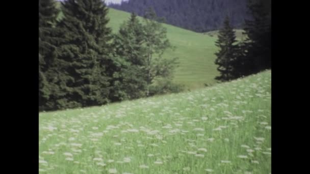 1975年6月 イタリアのドロミテス 1970年代の夏のドロミテ山脈の風光明媚な景色を撮影した映像 — ストック動画
