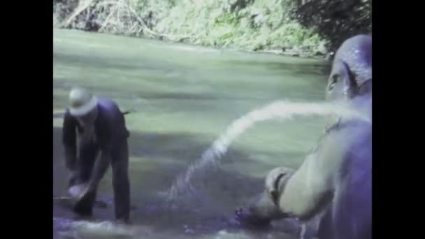 泰国Lamphun 1975年6月20日 1970年代的一段录像显示 在泰国 男人们用一桶清水给大象喂食 表现出他们的爱心和爱心 — 图库视频影像