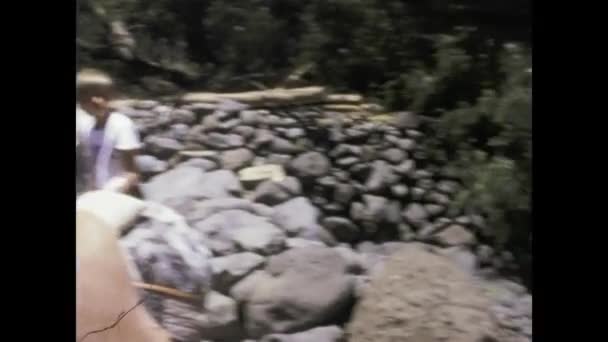 Gran Canaria Spanje Mei 1975 Ezels Dwalen Door Ruige Landschappen — Stockvideo