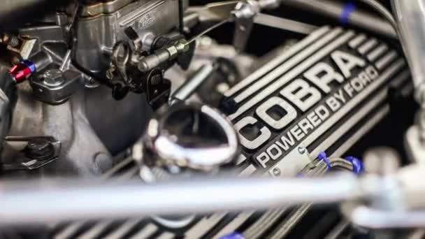 Виченца Италия Марта 2024 Точность Мощность Двигателя Ford Mustang Cobra — стоковое видео