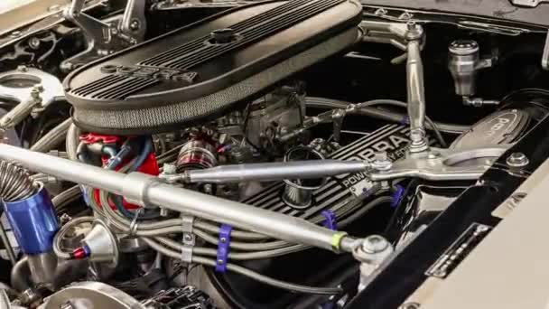 イタリア ヴィチェンツァ 2024年3月19日 パフォーマンスのシンボルであるフォードマスタングコブラのエンジンで詳細な精度とパワー — ストック動画