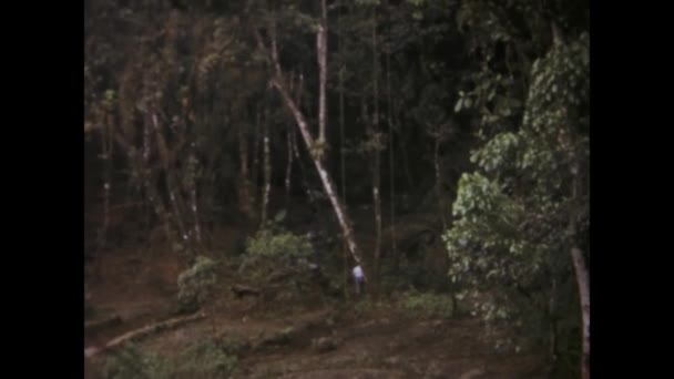 Μπραζίλια Βραζιλία Ιούνιος 1969 Ένα Πλούσιο Πανόραμα Ενός Δάσους Της — Αρχείο Βίντεο