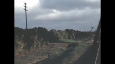 San Diego, Amerika Birleşik Devletleri 1955: 1950 'lerde ağaçlarla kaplı bir sokakta nostaljik klasik görüntülerde görüntülenmiştir..