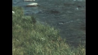 Big Springs, Birleşik Devletler Haziran 1955: 1950 'lerde balıkçıların Big Springs, Idaho' daki bir derede olta kullanırken, klasik tarzda barışçıl ve nostaljik bir anı yakaladıkları görüntüler..
