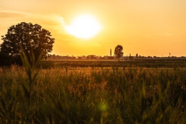 Büyüleyici altın günbatımı, canlı bir gökyüzünün altında ağaçların siluetleri ve uzak binalarla kırsal bir araziyi aydınlatıyor..