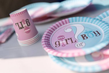 Milan, Italy 29 July 2024: Stacked pink and blue plates for a gender reveal party with boy or girl text. clipart