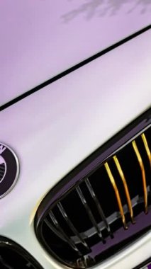 Calaone, İtalya 28 Ağustos 2024: BMW 1 Serisi F21 'in ön rozeti, karbon fiber detaylarını ve ikonik logo tasarımını vurguluyor.