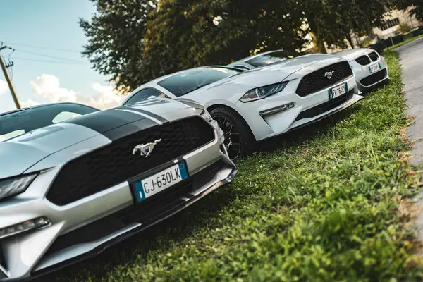 Milan, İtalya 4 Ekim 2024: Güneşli bir günde yeşil çimlerin üzerinde üç modern Ford Mustang arabası park halindedir