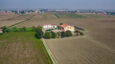 Villanova, İtalya 18 Ekim 2024: Birleştirici hasat bir çiftlik evinin yakınındaki bir tarlada soya fasulyesi topluyor