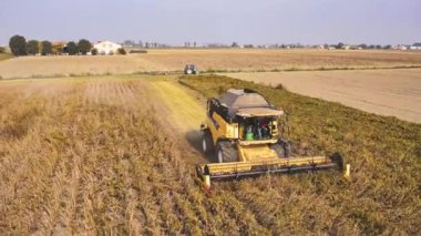 Villanova, İtalya 18 Ekim 2024: Sarı hasatçı bir tarlada soya fasulyesi hasat ediyor