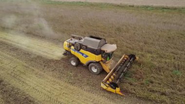 Villanova, İtalya 18 Ekim 2024: Sarı, tarladan geçen soya fasulyelerini topluyor