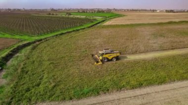 Villanova, İtalya 18 Ekim 2024: Birleşmiş hasat ekili bir tarlada soya fasulyesi hasat ediyor