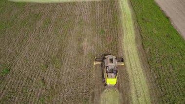 Villanova, İtalya 18 Ekim 2024: Birleştirici hasat bir çiftlik evinin yakınındaki bir tarlada soya fasulyesi topluyor