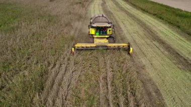 Villanova, İtalya 18 Ekim 2024: Sarı kombine ürün toplayıcısı güneşli bir günde taze soya fasulyesi topluyor