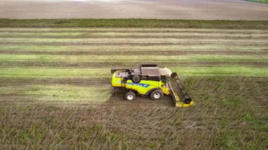 Villanova, İtalya 18 Ekim 2024: Sarı, büyük bir soya fasulyesi tarlasında çalışan biçerdöveri kombine ederek ardında toz bulutu bıraktı