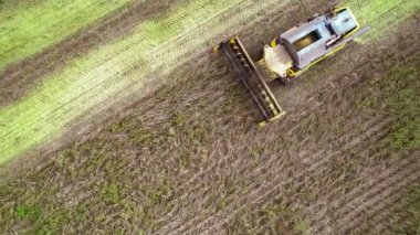 Villanova, İtalya 18 Ekim 2024: İHA 'lar hasat tohumlarını geniş, çizgili alanlarda verimli bir şekilde harmanlayarak modern tarım uygulamaları ve makineleri faaliyet halinde sergiliyor