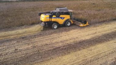 Villanova, İtalya 18 Ekim 2024: Sarı, büyük bir soya fasulyesi tarlasında çalışan biçerdöveri kombine ederek ardında toz bulutu bıraktı